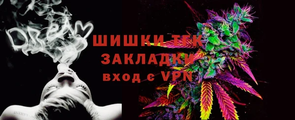 стафф Ельня