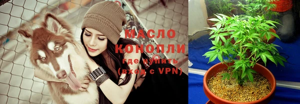 мяу мяу мука Дмитриев