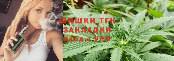 стафф Ельня