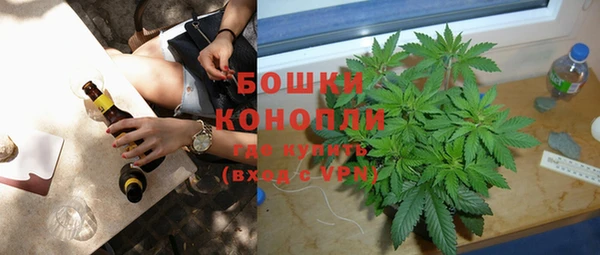 стафф Ельня
