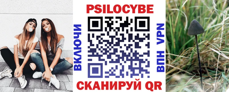 Купить  Донской  Псилоцибиновые грибы прущие грибы 